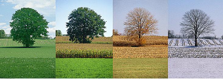 奥德赛卡珊德拉或在《刺客信条：影》登场 活了2000年